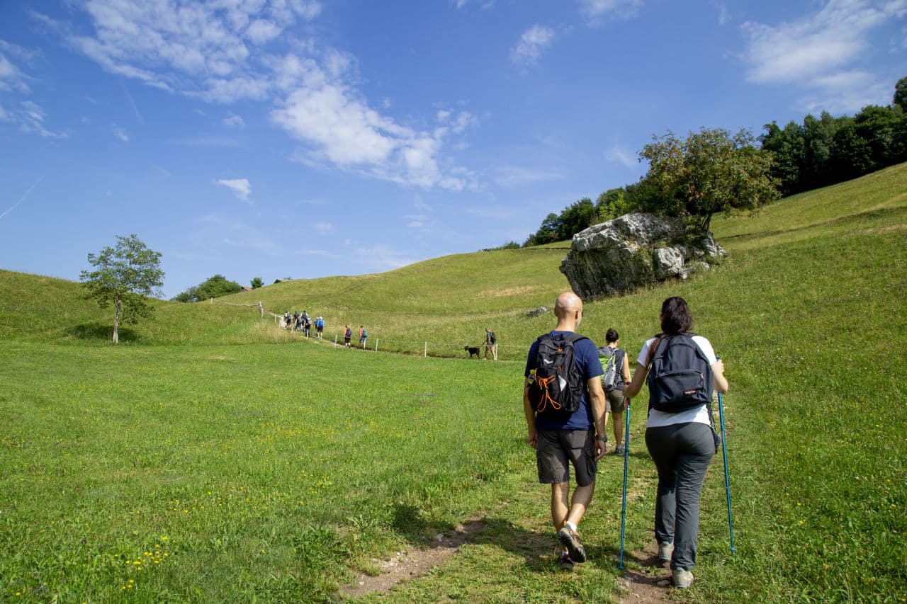 Haut-Jura