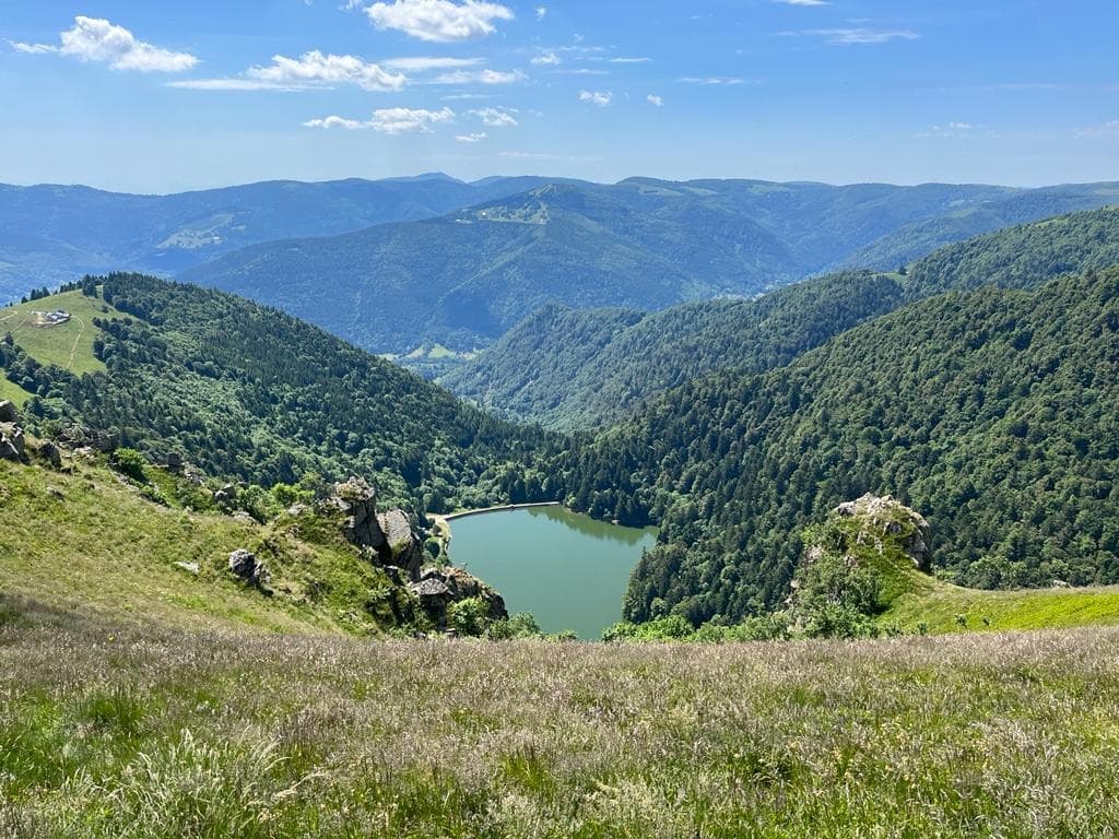 Dernière randonnée vers la vallée et retour à Munster ou Metzeral